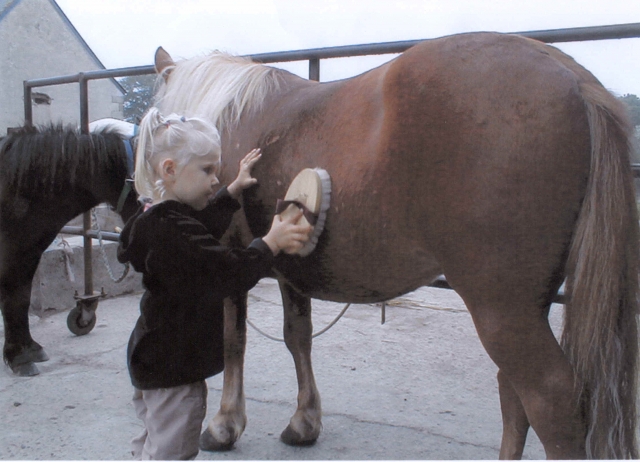  Descubrimiento del niño pony 